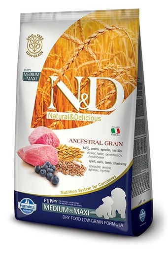 [10128_17993] Agneau & Myrtille Ancestral Grain chiot medium & maxi (2.5 kg) - Farmina