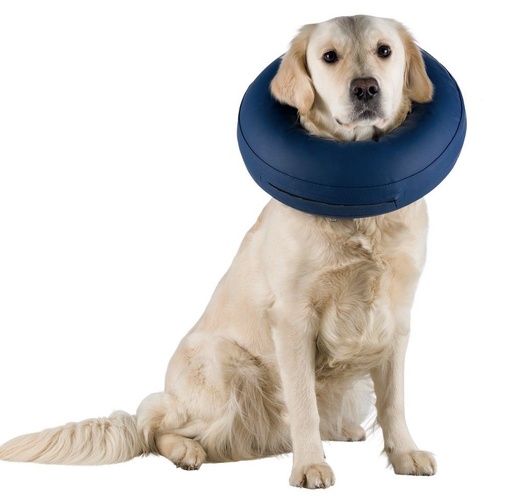 [10577_19005] Collier de protection gonflable (M) - Trixie