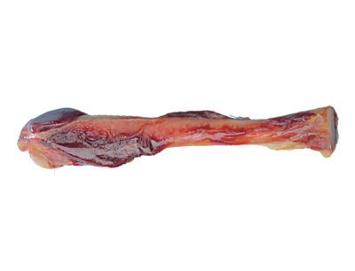 [11110_19914] Os de jambon italien (17 cm) - Vadigran