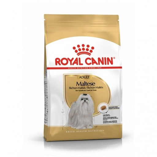 [1163] Maltese "Bichon Maltais" (1.5 kg) - Royal Canin