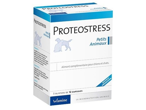 [11808] Proteostress petits animaux boîte de 3 blisters de 12 capsules - Wamine