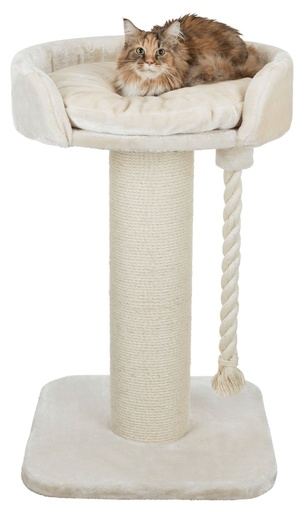 [12954_23479] Arbre à chat XXL "Klara" (Crème) - Trixie