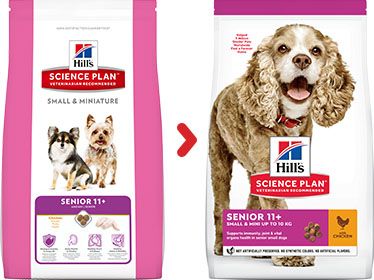 [13105] Canine "Senior 11+ "Small & Mini Poulet (1.5 kg) - Hill's Science Plan