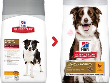 [13107_23859] Canine Adult Healthy Mobility Medium Poulet (12 kg) - Hill's Science Plan