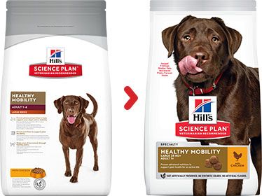 [13108_23860] Canine Adult Healthy Mobility Large Breed Poulet (12 kg) - Hill's Science Plan