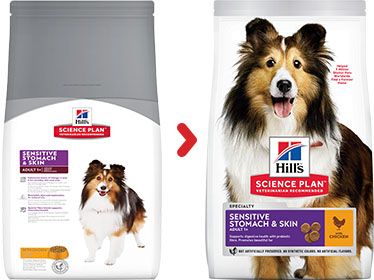 [13114_23870] Canine Adult Sensitive Stomach & Skin Medium Poulet (2.5 kg) - Hill's Science Plan