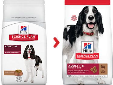 [13123_23903] Canine Adult Medium Agneau et Riz (2.5 kg) - Hill's Science Plan