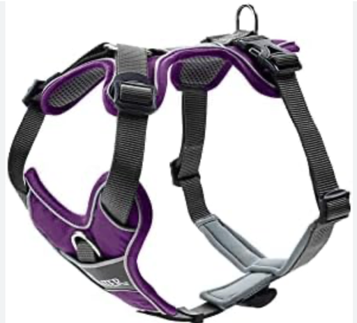 [13822_25089] Harnais "Divo" violet (XL) - Hunter