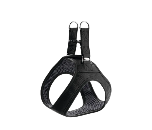 [13874_25179] Harnais "Hilo" noir (XS/S) - Hunter