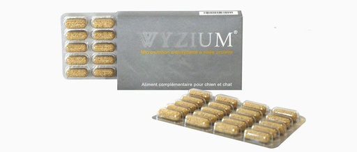 [14189_25609] Complément alimentaire "Wyzium" - Laboratoire Moureau (Boite : 40 comprimés)