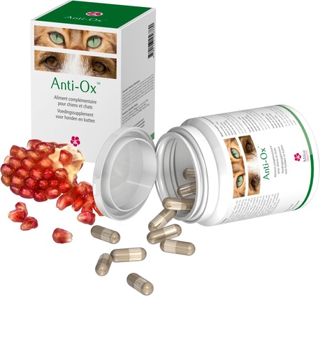 [14256] Complément alimentaire "Anti-Ox" - Miloa