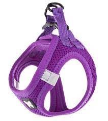[14371_28260] Harnais pour chien "Mesh" - Mauve (XS) - Martin Sellier