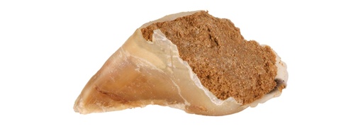 [14724] Sabot à mâcher fourré - Trixie