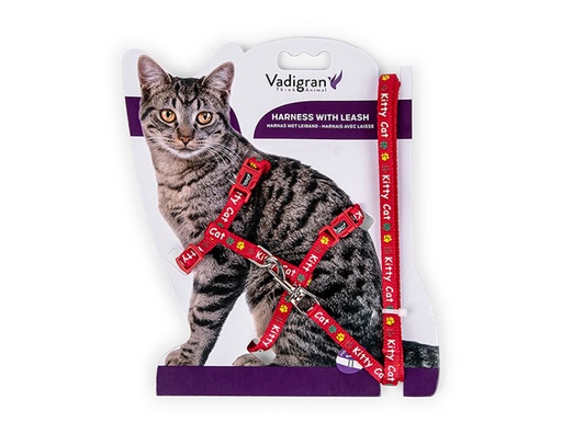 [14882_26314] Harnais + laisse pour chaton "Kitty Cat" (Rouge) - Vadigran