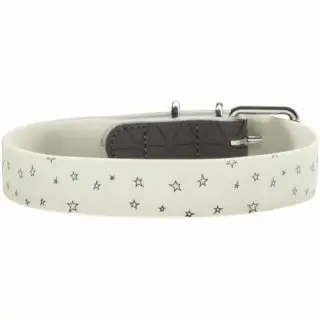 [15136_26642] Collier fluorescent pour chien motif étoilé - Convenience Reflect Glow (XS/S) - Hunter