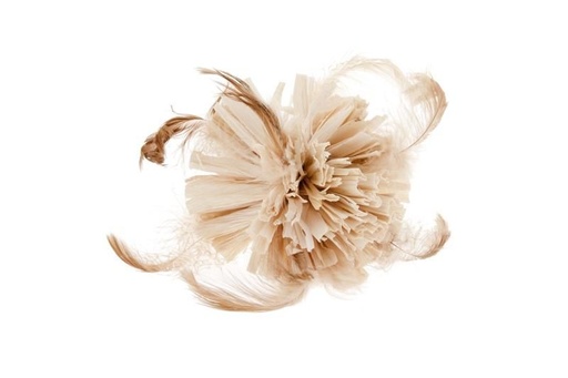 [15514] Balle de feuille de maïs au matatabi - Ferribiella