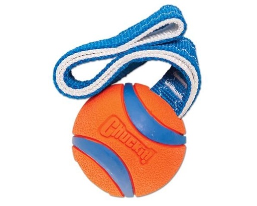 [15936_28461] Jouet pour chien Ultra Tug (L) - Chuckit!