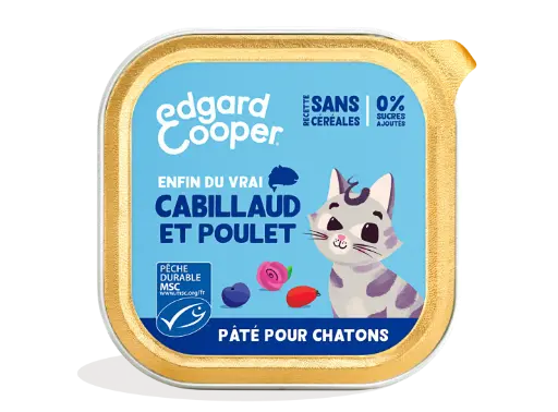 [16201] Pâté moelleuse pour chaton au cabillaud et au poulet (85 g) - Edgard & Cooper