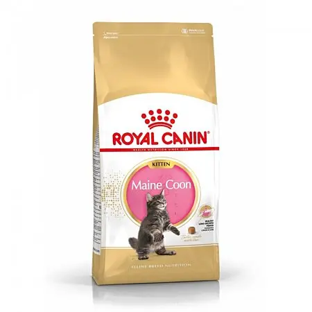 [1974_5386] Feline Nutrition Kitten Maine Coon (10 kg) - Royal Canin