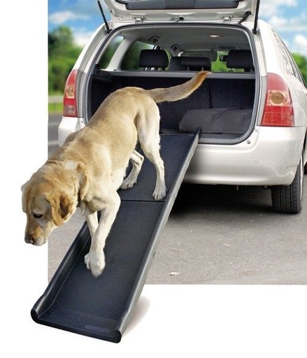 [2384] Rampe d'accès - Flamingo