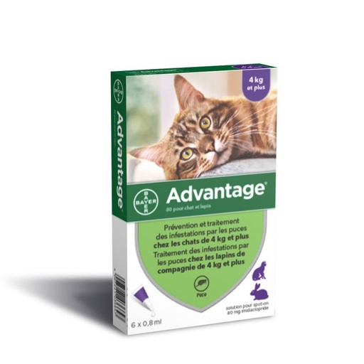 [3828_9065] Advantage 80 CT chat + 4 kg (6 pipettes) - Bayer