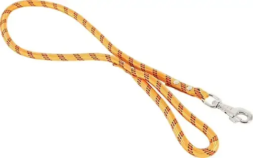 [3863_12997] Laisse nylon corde 1.3 cm /6 m (Orange) - Zolux