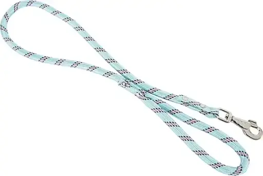 [3863_12998] Laisse nylon corde 1.3 cm /6 m (Turquoise) - Zolux