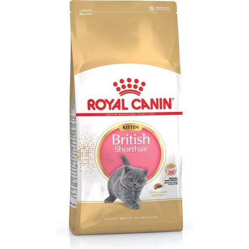 [4379_13965] Feline Nutrition Kitten British Shorthair (10 kg) - Royal Canin