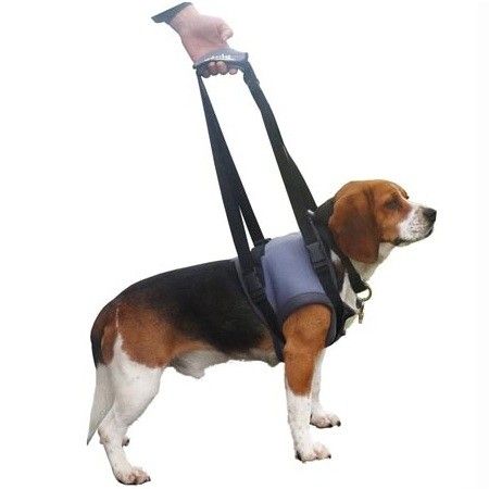 [4442_9962] Harnais de maintien "Handi Canis" (L)