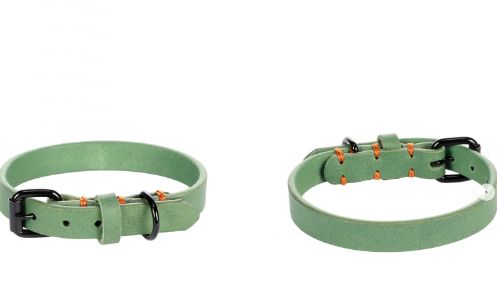 [53868-008] Collier Leano vert (XS/S) - Flamingo