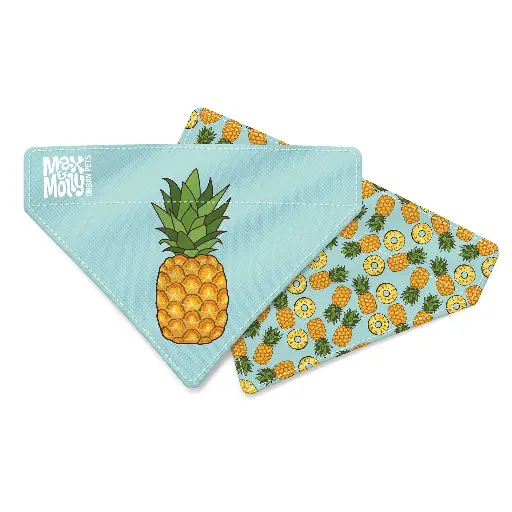 [54301-002] Bandana réversible Sweet Pineapple (S) - Max & Molly