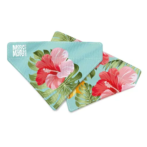 [54306-001] Bandana réversible Exotic (L) - Max & Molly