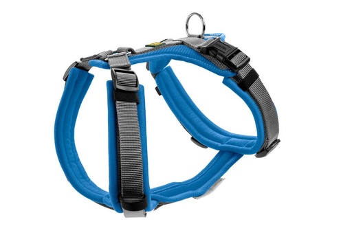 [54351-001] Harnais Maldon bleu (L) - Hunter