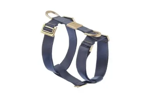[54619-014] Harnais "Mida" - Bleu (L) - Ferribiella