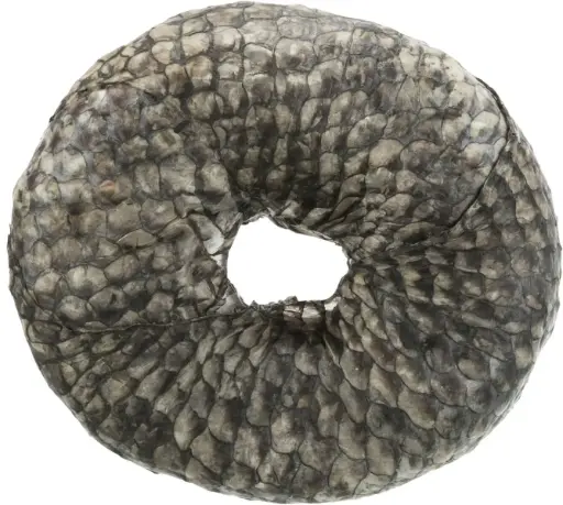 [54630] Denta Fun Fish Chewing Ring vrac (10 cm, 110 g) - Trixie