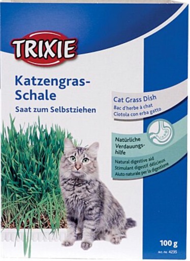 [55216] Herbe à chat (100 g) - Trixie