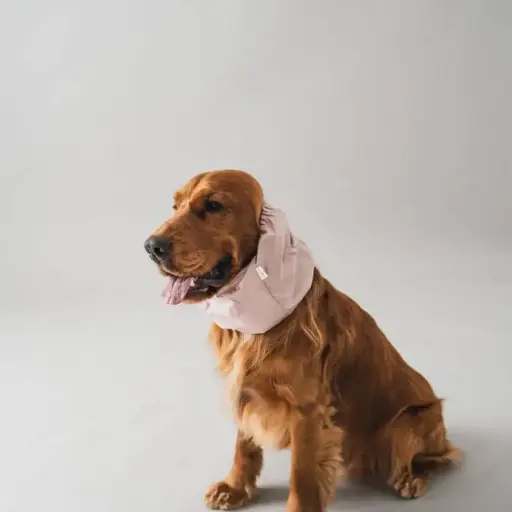 [55416-002] Waterproof Snood (S) - Lou&Co