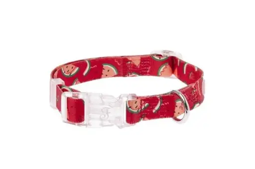 [55424-004] Collier réglable Pastèque (XS) - Ferribiella