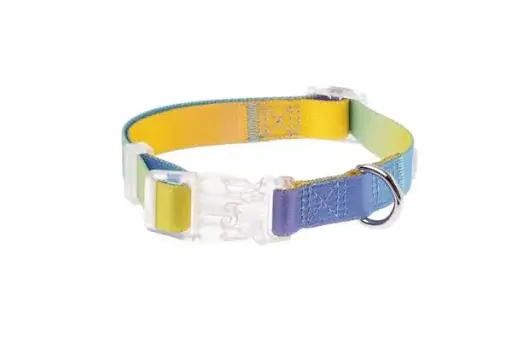 [55429-004] Collier réglable Rainbow (XS) - Ferribiella