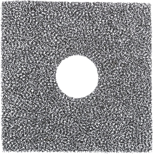 [55519] Filtre de rechange pour fontaine à eau "Flower" (pack de 2) - Trixie