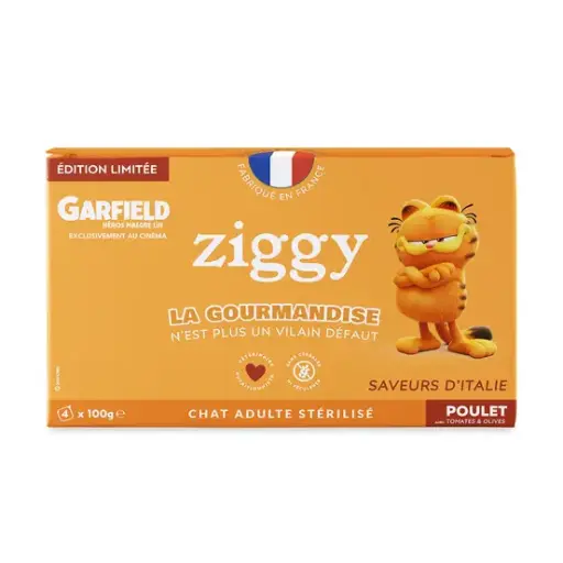 [55530] Pâtée Edition Limitée Garfield - (4 barquettes 100 g) - Ziggy