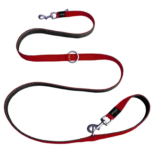 [56066-002] Laisse pour chien Momemtum training Rouge (M) - Kyflie