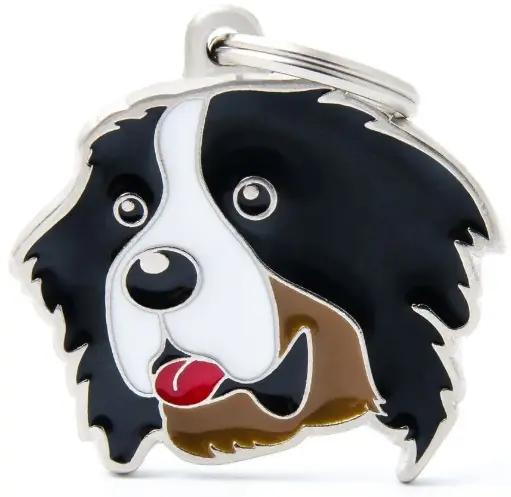 [7270] Médaille "Bouvier Bernois" - MyFamily