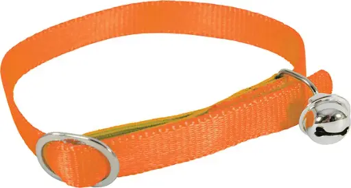 [7368_14402] Collier "Color" (Orange) - Zolux