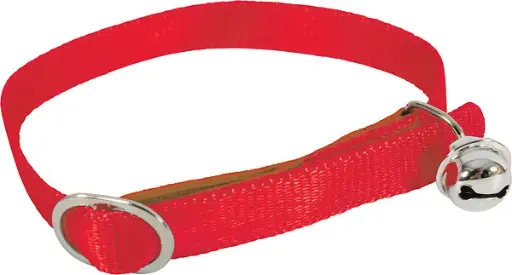 [7368_14404] Collier "Color" (Rouge) - Zolux