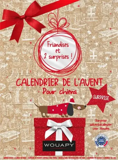 [J25030011] Calendrier de l'avent surprise chien noël - Wouapy