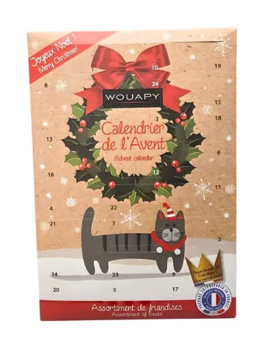 [J25030014] Calendrier de l'avent chat noël - Wouapy