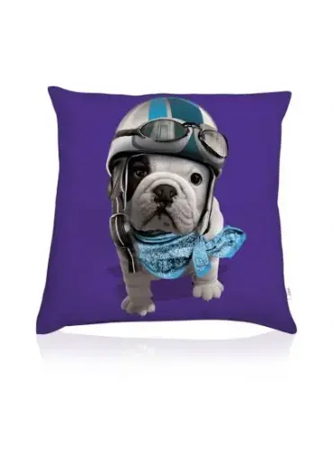 [J25030093] Coussin Teo Jasmin