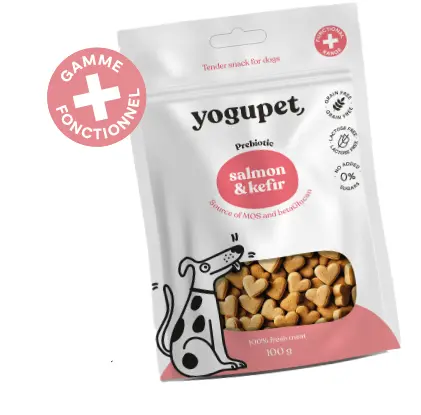 [J25030105] Tender snack saumon chien (100 g) - Yogupet