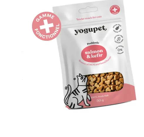 [J25030107] Tender snack saumon chat (50 g) - Yogupet